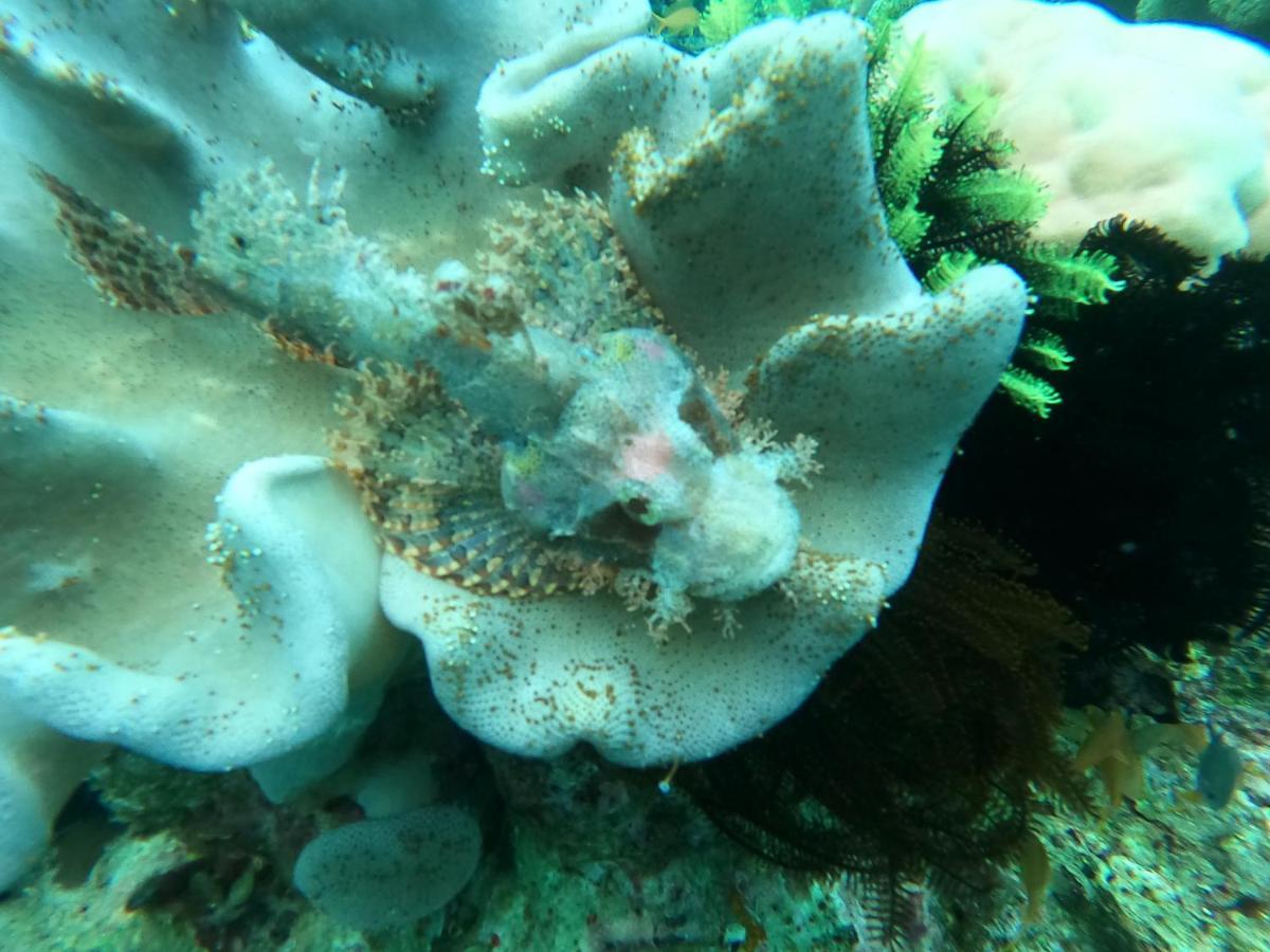Cabilao Sunset Dive & Beach Resort Loon Eksteriør bilde