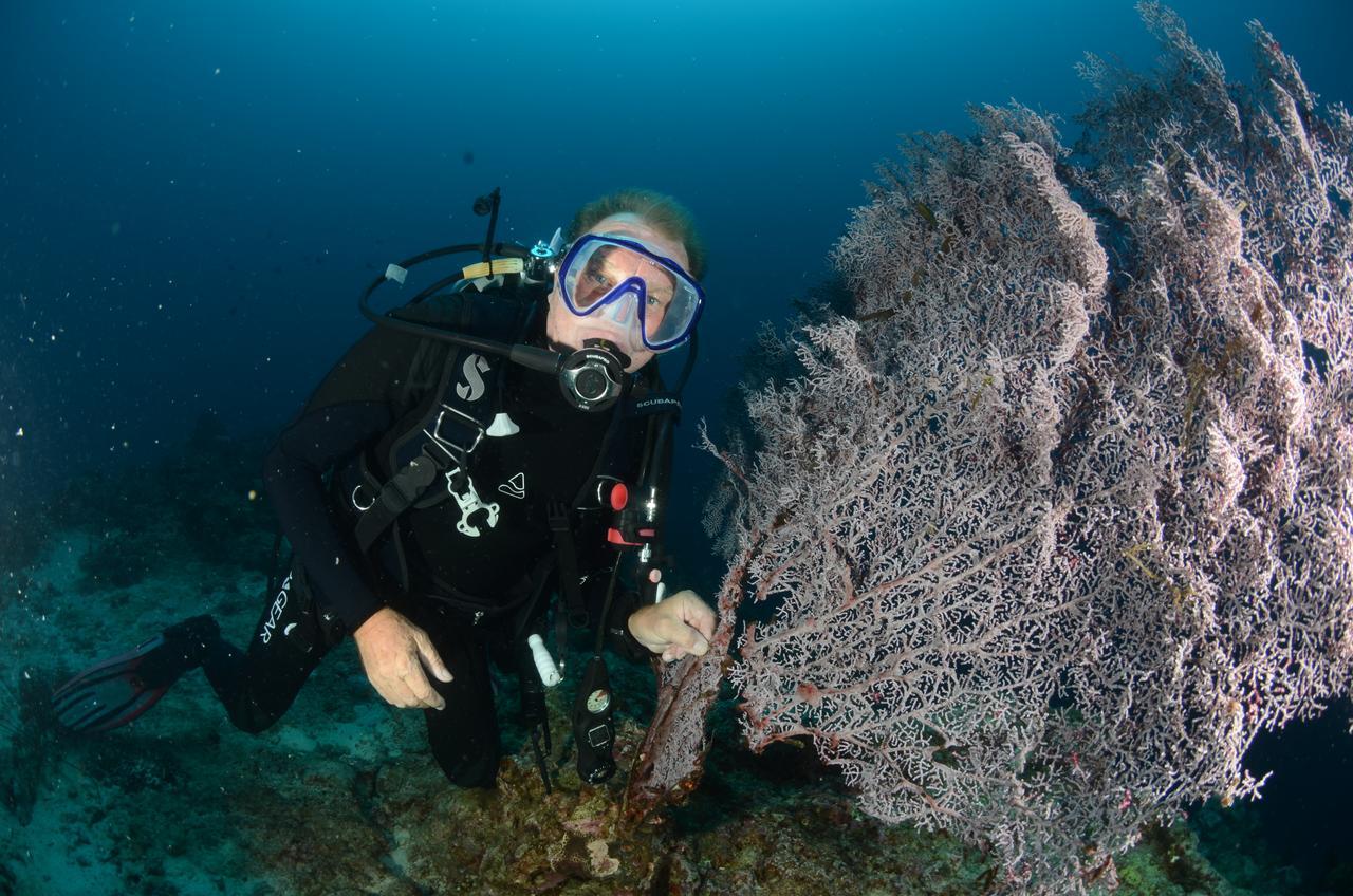 Cabilao Sunset Dive & Beach Resort Loon Eksteriør bilde